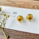 ひとつぶ 黄色のお花のピアス ドライフラワー ピアス