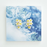 春イヤリング【雪柳】