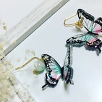 グラデーションが美しい蝶々のピアス🦋