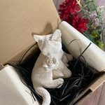 珪藻土　アロマストーン　猫