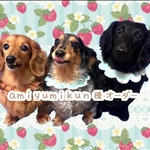 ♡amiyumikun様オーダー♡
