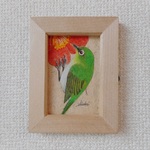 色鉛筆画　「メジロ」　（原画・額入り）