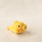 ころころダンゴウオ