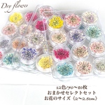 レースフラワー☆おまかせ12色セレクトセット