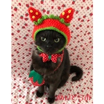 再再入荷！いちごポシェット、猫ちゃんの首輪