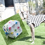 ruchia -suzu様専用カート🛒