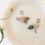 ノースポール（①or②）