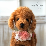 犬用アクセサリー　お花チョーカー　写真撮影　トリミング　首飾り　ヘッドアクセ