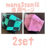☆mana3san様専用☆鬼滅の刃風立体型ナツノマスク2枚set