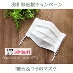 【送料無料6/22まで】ふつうのマスク／ノーズワイヤー・ポケット付きプリーツマスク