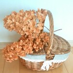SALE！一点限り　カシワバアジサイのドライフラワー２本セット　絵になるドライフラワー