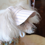 【Sサイズ】犬の帽子*whiteストライプpink Navyライン（白ゴム）