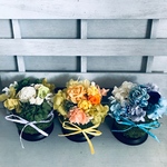 ☸3色から選べる！苔玉のカラフルアレンジお皿付き！　父の日　夏ギフト　花　フラワーギフト　プレゼント　結婚祝い　開店祝い　プリザーブドフラワー　還暦祝い