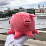 ピンクのメンダコA