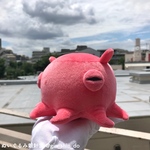 ピンクのメンダコB