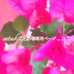 satsuki1959様専用ページ.｡.:*♡