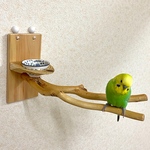 鳥とまり木【ピノキオの鼻　おやつ入れつき】2wayタイプ／文鳥・セキセイインコ・ボタンインコ・オカメインコ