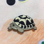 ヘルマンリクガメ
