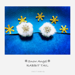 ＊Snow   Angel＊イヤリング
