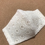 きなり色サークル刺繍たっぷり♪コットンレースの布マスク