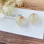 ★ピアス★ ひとつぶ レースフラワー お花のピアス ドライフラワー ピアス ホワイト