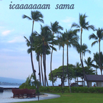 icaaaaaaan様専用ページ