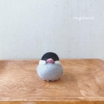 ＊送料無料＊まんまる文鳥さん（桜文鳥）