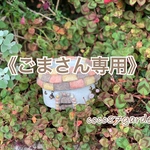 [専用] お家鉢（瓦屋根）