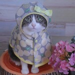 レインコートポンチョ【グレー】
