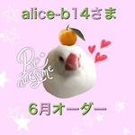 alice-b14さま　6月便　③