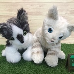 amm様オーダーメイド品(ミックス子猫)