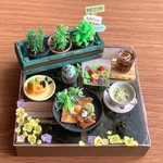 ハーブのある暮らし🌿