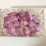 紫陽花のバレッタ