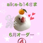 alice-b14さま　6月便　④