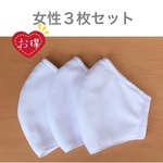 【大人マスク３枚セット】夏用通気メッシュ 敏感肌用柔らかコットン ぴったりフィット ワイヤー入り フィルター交換タイプ 立体マスク