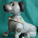 ハートがいっぱいセーラーカラー