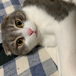 ★まるる様専用★