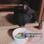 サイドテーブル 引出し付き