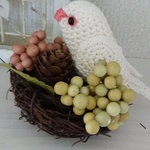 白文鳥シリーズ；鳥の巣