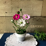 1965yuさまオーダー作品＊Mini Cosmos ３色アレンジ♪麻布付き♡
