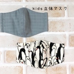 kids立体マスク／男の子