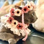 アネモネの花冠&フリルチョーカーセット