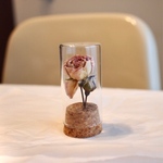 【期間限定 特別価格】《再販》スプレーバラ（Cream&Pink）Flower Bottle　　フラワーボトル    植物標本
