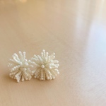 白いたんぽぽピアス