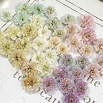 混色入り　かすみ草　ドライフラワー　pastel sweet