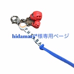 hidamari*様専用ページ