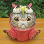 疫病退散★赤ふくろうエキゾチックショートヘア③