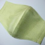 立体マスク Ⓒ【タイシルク(citrusgreen)】フィルターポケット付き