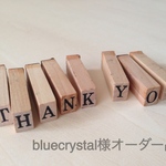 bluecrystal様オーダー品