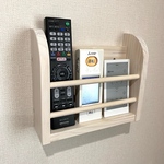 壁掛け リモコンホルダー/ リモコンストッカー 収納 ケース 棚 テレビ